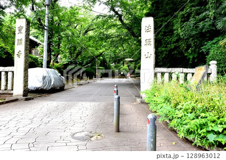 横浜市神奈川区　豊顕寺境内の新緑と参道 128963012