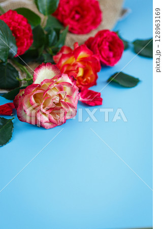 Flowers with gradient tones on pastel blue layout Flowers with gradient tones on pastel blue layout 128963169