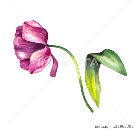 Watercolor color illustration set magic Watercolor color illustration set magic 128963305