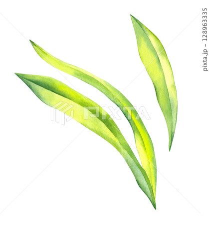Watercolor color illustration set magic 128963335