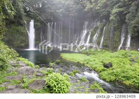 霧に包まれる白糸の滝 全景 静岡県富士宮市 霧に包まれる白糸の滝 全景 静岡県富士宮市 128963409