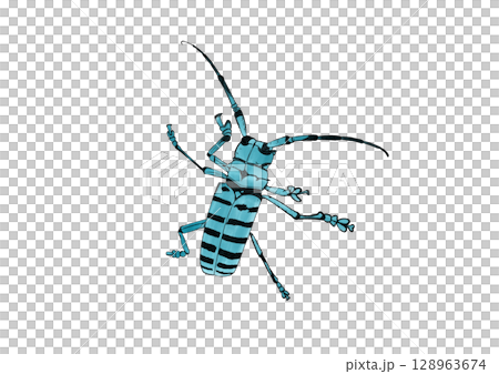 マレーアオジマカミキリ マレーアオジマカミキリ 128963674