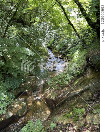 夏の涼しげな　渓谷の小川　清流 128963692