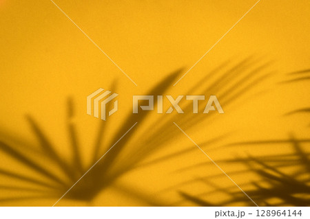 Golden yellow background with palm leaves shadow. Golden yellow background with palm leaves shadow. 128964144
