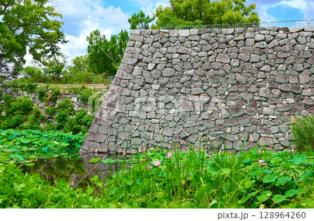 淀城跡　淀城の蓮　天守台の石垣　京都市 128964260