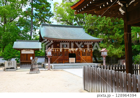 與杼神社 社殿 淀城跡公園 京都市伏見区 與杼神社 社殿 淀城跡公園 京都市伏見区 128964394