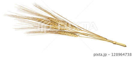 パン小麦の穂 128964738