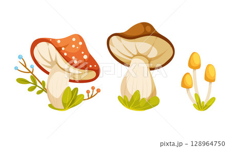 A vibrant and colorful depiction of cartoon mushrooms set in a whimsical forest environment 128964750