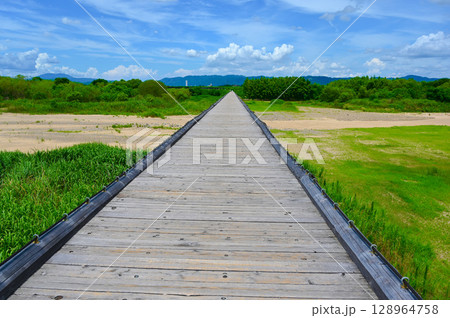 流れ橋 木造橋 八幡市 流れ橋 木造橋 八幡市 128964758