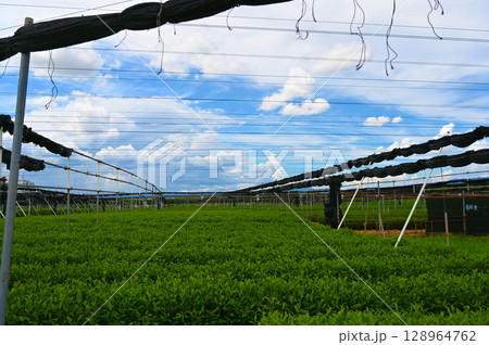 流れ橋　両岸上津屋・浜台　浜茶　八幡市 128964762