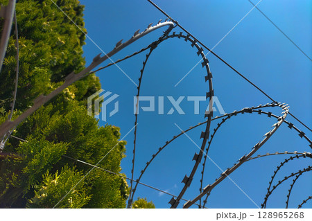 Twisted barbed wire against the background of tree crowns and a blue clear cloudless sky. A symbol of restriction of movement and freedom, the limit of possibilities Twisted barbed wire against the background of tree crowns and a blue clear cloudless sky. A symbol of restriction of movement and freedom, the limit of possibilities 128965268