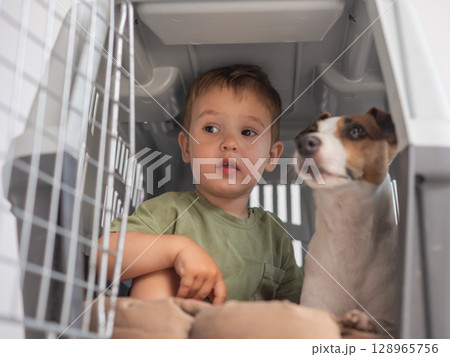 Little child in a cage with a Jack Russell Terrier dog.  128965756