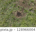 焦げた地面 128966004
