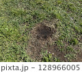 焦げた地面 128966005