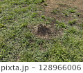 焦げた地面 128966006