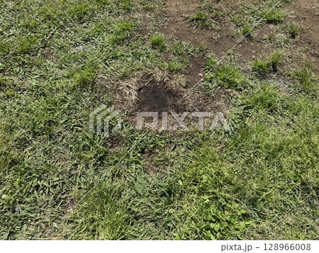 焦げた地面 128966008