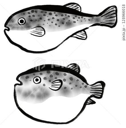 ふぐの水墨画デジタルイラスト 128966018