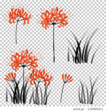 墨水畫紅蜘蛛百合的數位插圖 墨水畫紅蜘蛛百合的數位插圖 128966021