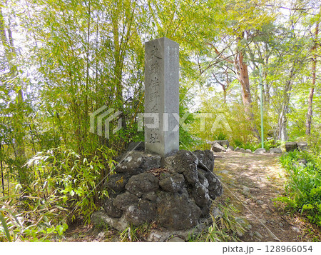 伴野城跡 伴野城跡 128966054