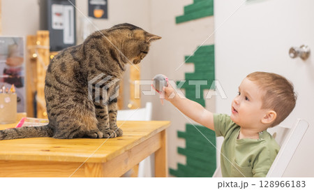 Caucasian little boy in a cat cafe. Caucasian little boy in a cat cafe. 128966183