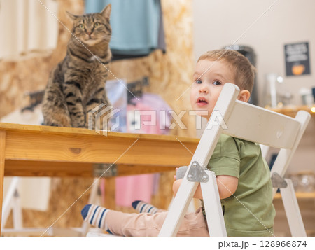 Caucasian little boy in a cat cafe.  128966874