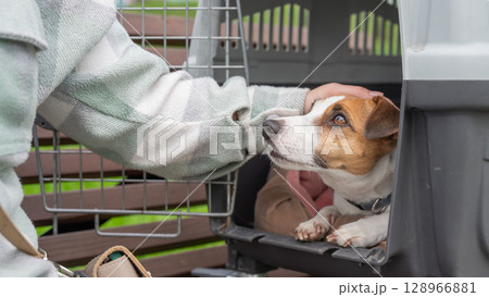 Caucasian woman traveling with dog. Owner sits on bench with Jack Russell Terrier in cage for safe travel. Caucasian woman traveling with dog. Owner sits on bench with Jack Russell Terrier in cage for safe travel. 128966881