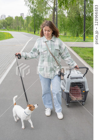 Owner walks Jack Russell Terrier and carries cage for safe travel. Owner walks Jack Russell Terrier and carries cage for safe travel. 128966883