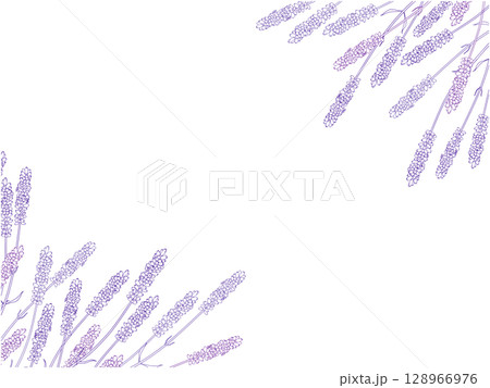 ラベンダーの線画フレーム②ななめ,紫 ラベンダーの線画フレーム②ななめ,紫 128966976