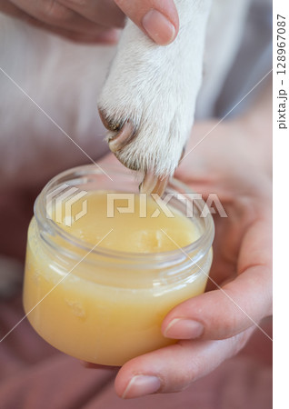 The owner puts wax on the dog's paws. The owner puts wax on the dog's paws. 128967087