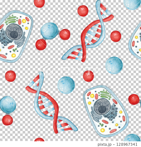 Seamless pattern with DNA molecules and cells. Watercolor hand drawn illustration, cartoon. Drawing for sticker, poster. science, school, laboratory, biology, chemistry, research, back to school Seamless pattern with DNA molecules and cells. Watercolor hand drawn illustration, cartoon. Drawing for sticker, poster. science, school, laboratory, biology, chemistry, research, back to school 128967341