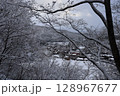 雪が積もった木々 128967677