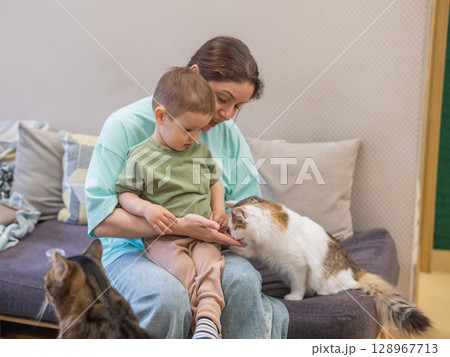 Caucasian woman with her son in a cat cafe.  128967713