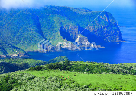 【島根県】摩天崖から見た国賀海岸（隠岐の島　西ノ島） 128967897