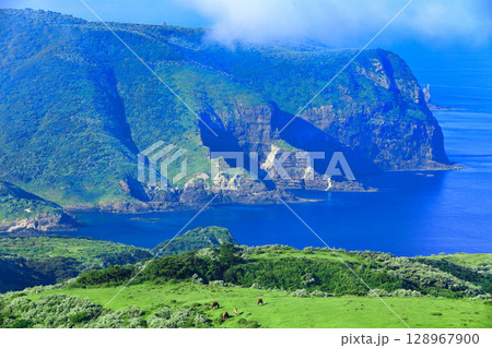 【島根県】摩天崖から見た国賀海岸（隠岐の島　西ノ島） 128967900