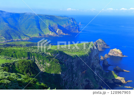 【島根県】摩天崖から見た国賀海岸（隠岐の島　西ノ島） 128967903