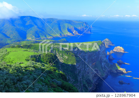 【島根県】摩天崖から見た国賀海岸（隠岐の島　西ノ島） 128967904