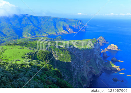 【島根県】摩天崖から見た国賀海岸（隠岐の島　西ノ島） 128967905