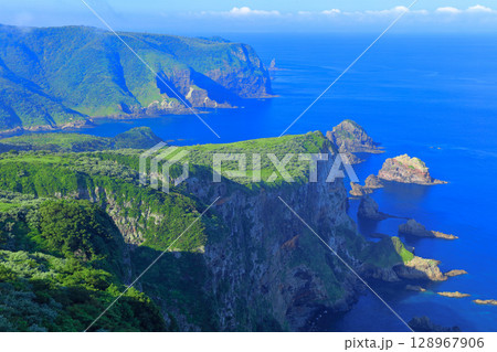 【島根県】摩天崖から見た国賀海岸（隠岐の島　西ノ島） 128967906