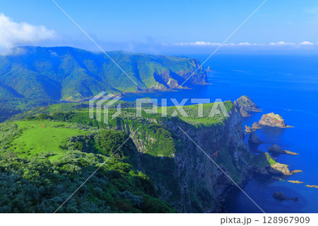 【島根県】摩天崖から見た国賀海岸（隠岐の島　西ノ島） 128967909