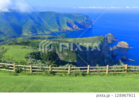 【島根県】摩天崖から見た国賀海岸(隠岐の島 西ノ島) 【島根県】摩天崖から見た国賀海岸(隠岐の島 西ノ島) 128967911