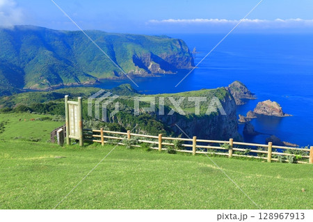 【島根県】摩天崖から見た国賀海岸（隠岐の島　西ノ島） 128967913