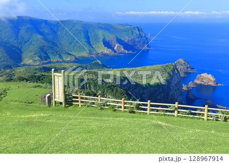 【島根県】摩天崖から見た国賀海岸（隠岐の島　西ノ島） 128967914