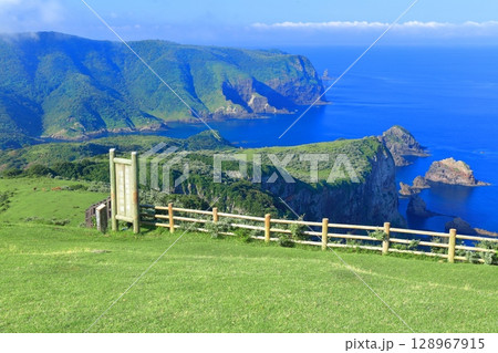 【島根県】摩天崖から見た国賀海岸（隠岐の島　西ノ島） 128967915