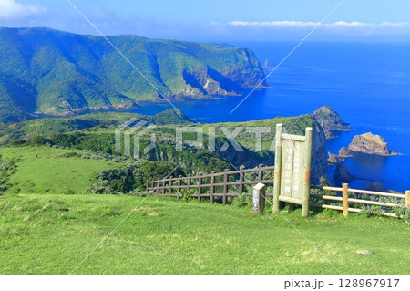 【島根県】摩天崖から見た国賀海岸（隠岐の島　西ノ島） 128967917