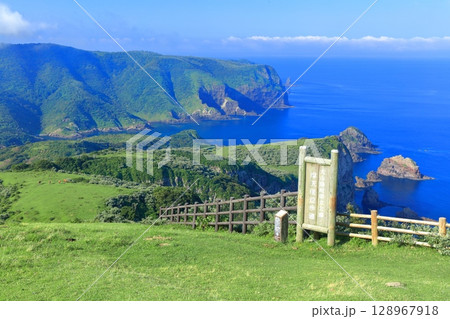 【島根県】摩天崖から見た国賀海岸(隠岐の島 西ノ島) 【島根県】摩天崖から見た国賀海岸(隠岐の島 西ノ島) 128967918