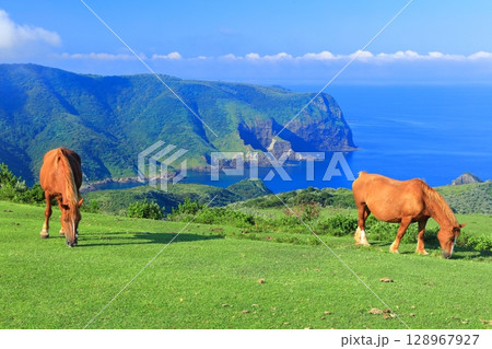 【島根県】摩天崖から見た国賀海岸（隠岐の島　西ノ島） 128967927