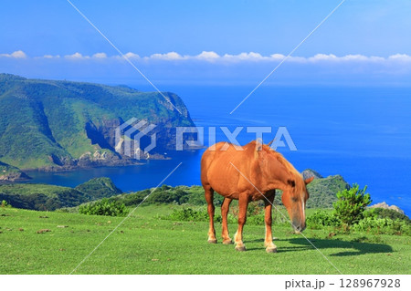 【島根県】摩天崖から見た国賀海岸（隠岐の島　西ノ島） 128967928