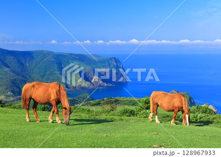 【島根県】摩天崖から見た国賀海岸（隠岐の島　西ノ島） 128967933