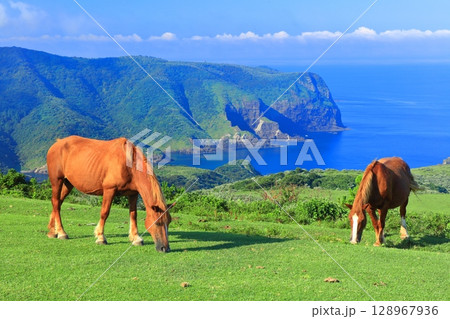 【島根県】摩天崖から見た国賀海岸（隠岐の島　西ノ島） 128967936
