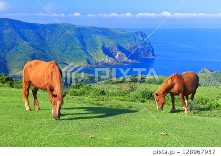 【島根県】摩天崖から見た国賀海岸（隠岐の島　西ノ島） 128967937